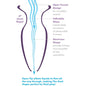 ANAL FANTASY ELITE COLLECTION - ANAL GAPER DILATOR FOR BEGINNERS CRYSTAL SIZE S