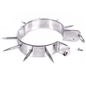 METAL HARD - BDSM SLAVE COLLAR WITH POINTS